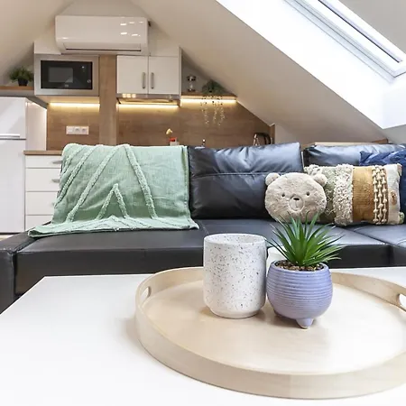 Attic With Peaceful View + Parking アパート